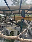 IMG_8782