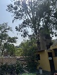 IMG_8785