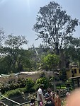 IMG_8797