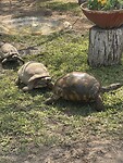 IMG_8794