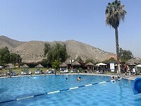 IMG_8801