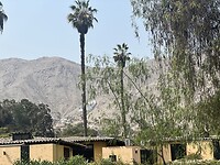 IMG_8800