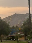IMG_8838