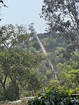 IMG_8877