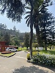 IMG_8879