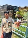 IMG_8878