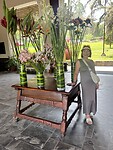 IMG_8885