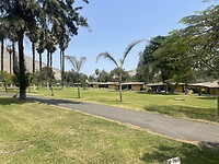 IMG_8891