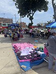 IMG_9404