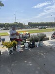 IMG_9412