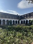 IMG_9474