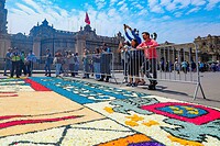 IMG_9566