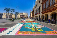 IMG_9570