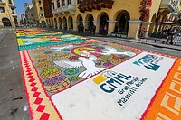 IMG_9575
