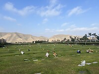 IMG_9661
