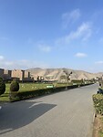 IMG_9663