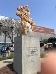 IMG_9746