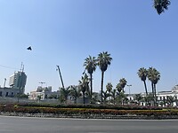 IMG_9752