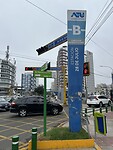 IMG_0101