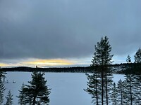 Sun?