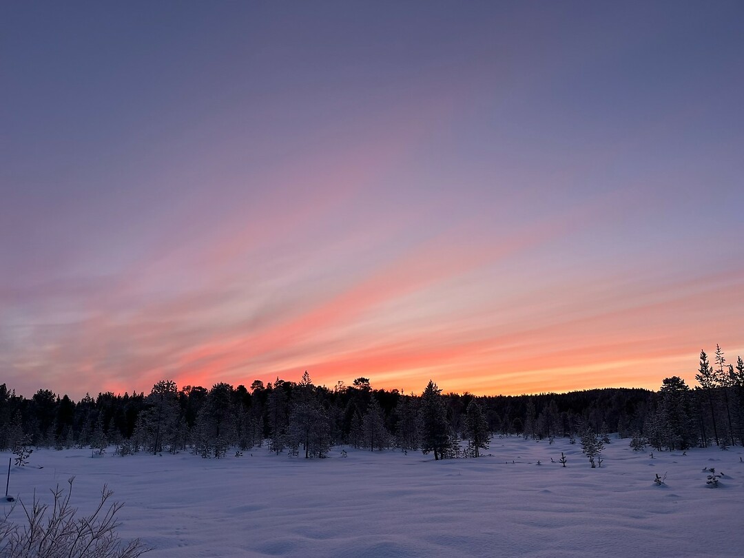 nice skies