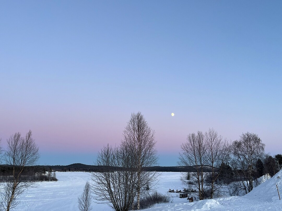 polar moon