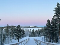 polar sky