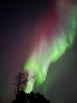 purple auroras