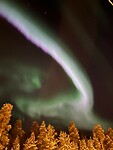 White aurora