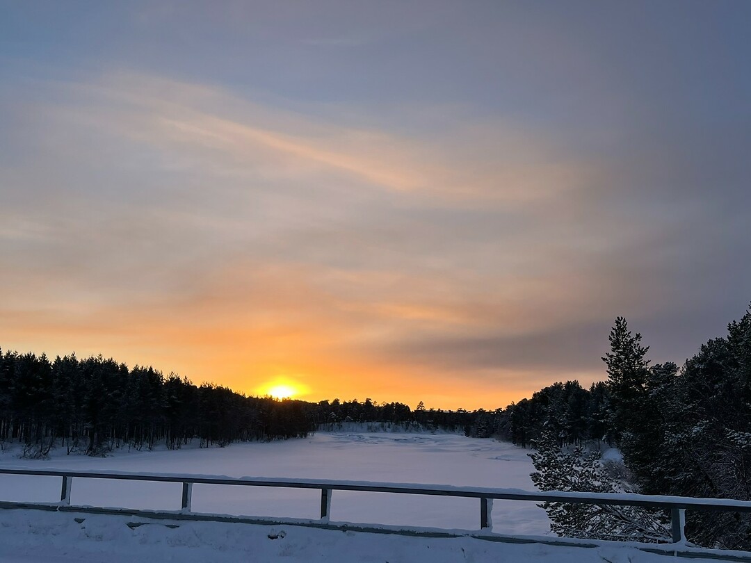 feb 5