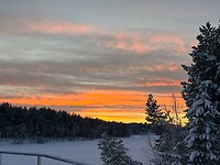 feb 9