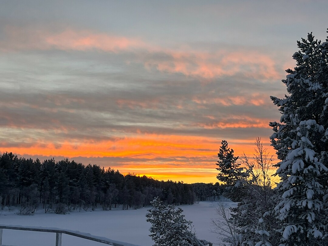 feb 9
