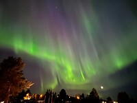 aurora