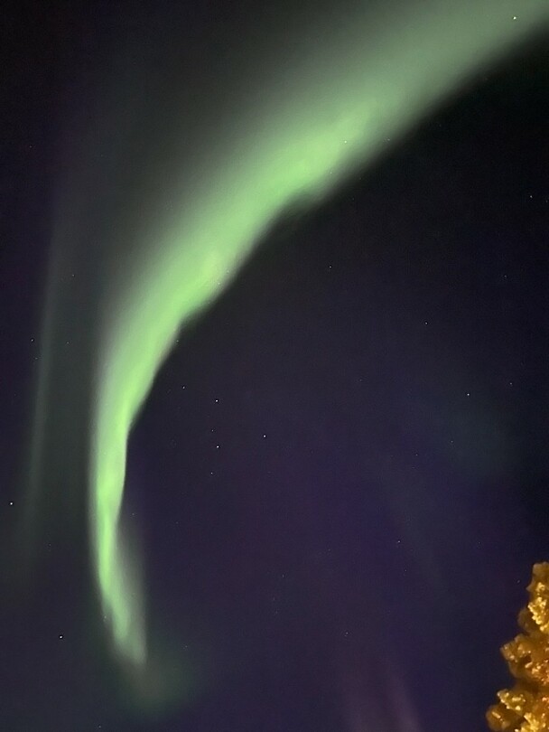 auroras