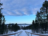IMG_5595