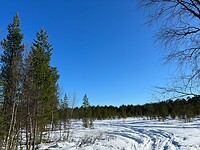 IMG_5613