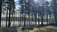lakelands