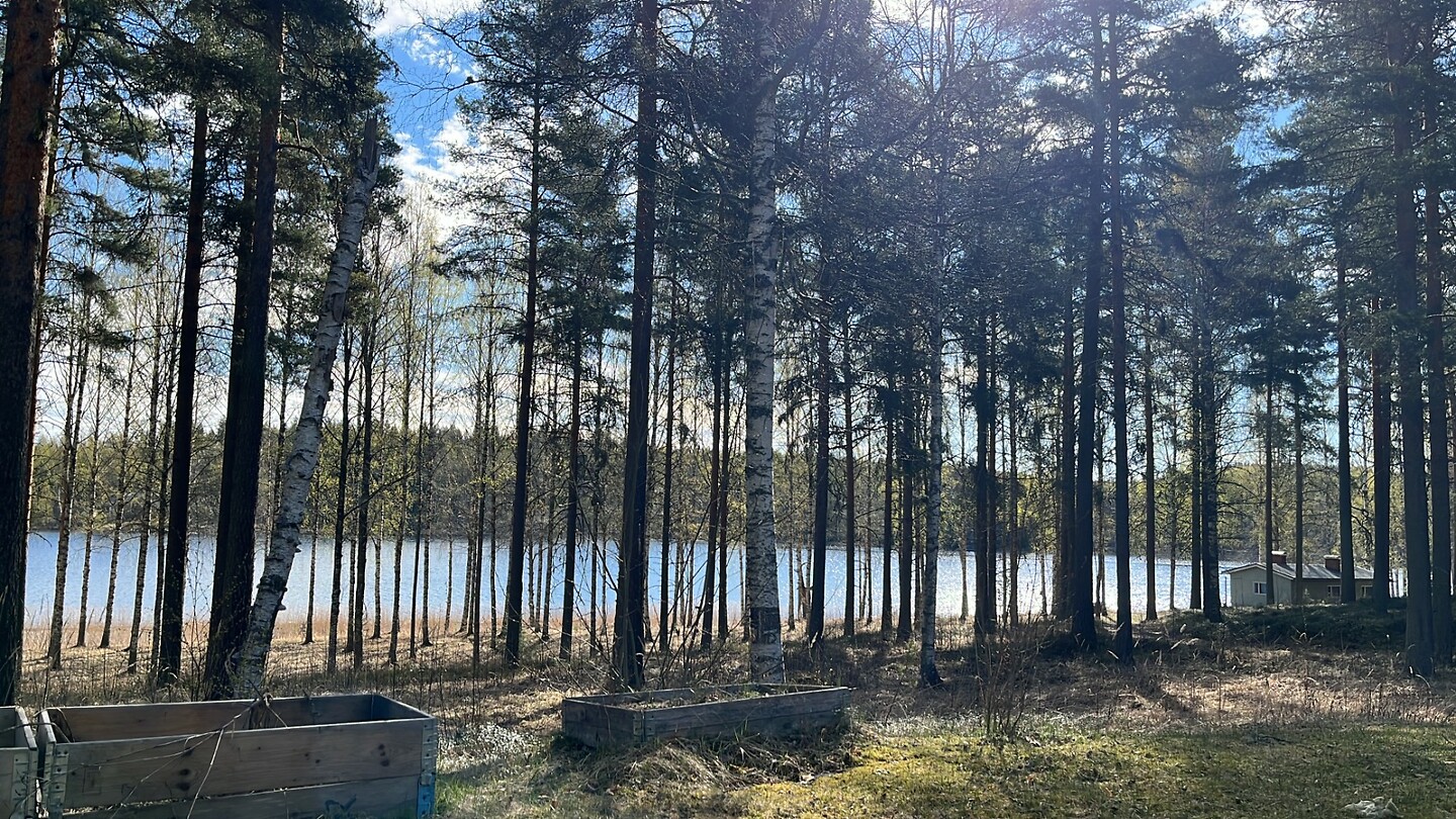 lakelands