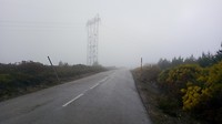 Mist