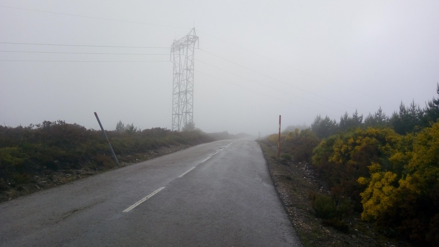 Mist
