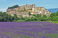 Grignan
