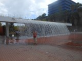 Expo
