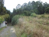 Rails