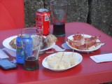 Pica pica
