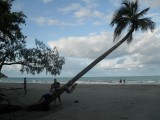 Tree???