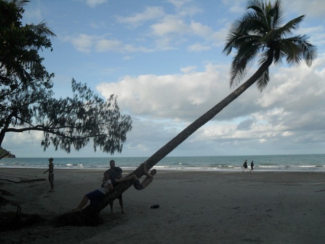 Tree???