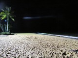strand bij nacht