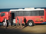4wiel aangedreven bus