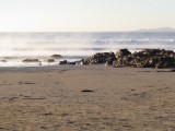 IMG_4377