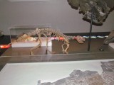museum
